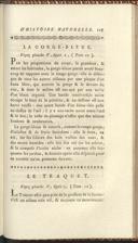 Seite 255