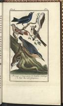 Seite 27