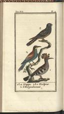 Page 206