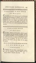 Seite 45