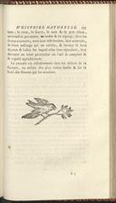 Seite 239