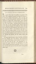 Seite 241