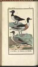 Seite 140