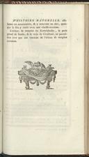 Seite 147
