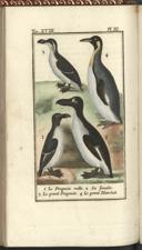 Seite 164