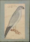 Seite 194