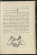 Seite 273