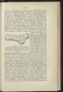 Seite 195