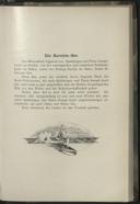 Seite 302