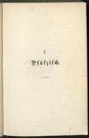 Seite 13