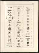 Page 239