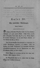 Seite 89