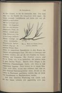 Seite 173