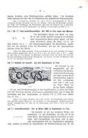 Seite 17