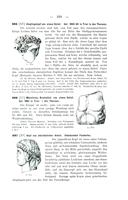 Seite 247