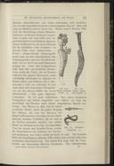 Seite 407