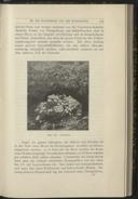 Seite 189