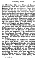 Seite 43