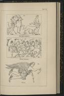 Seite 119