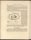 Seite 258