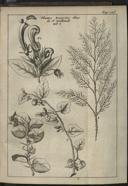 Seite 169