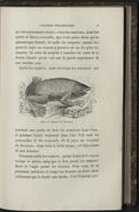 Seite 47