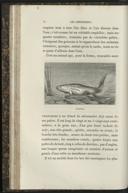 Seite 74