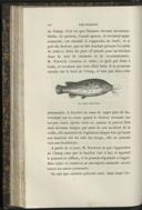 Seite 116