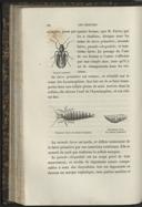 Seite 172