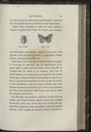 Seite 195