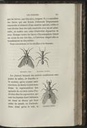 Seite 217