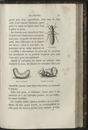 Seite 221