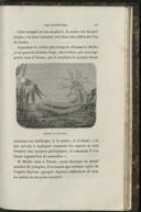 Seite 315