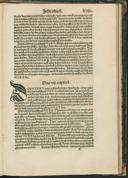 Seite 161
