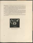 Seite 231