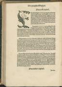 Seite 290