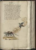 Seite 146