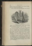 Seite 156