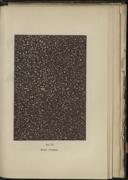 Seite 293
