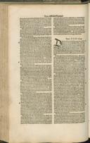 Seite 166