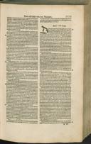 Seite 191