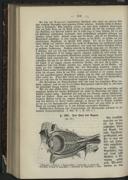 Seite 366