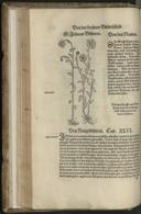 Seite 154