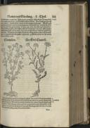 Seite 159