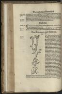 Seite 172