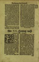 Seite 555