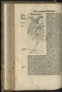 Seite 264