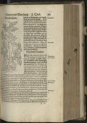 Seite 275