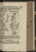 Page 395