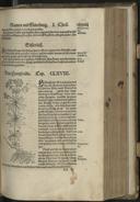 Seite 419